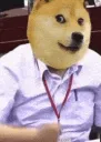 dogesmash dogesmash