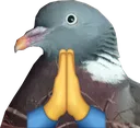praygeon