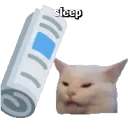 SLEEP
