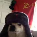9jr5icqvgsgx