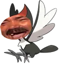 pikikek