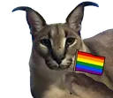 pridefloppa pridefloppa
