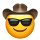 cool_cowboy Discord emoji
