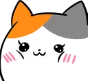 kitty
