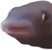 MMMM