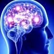 bigbrain2