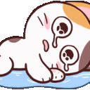 Meongcry Discord Emoji