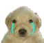 jotchua_sad
