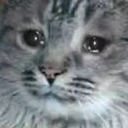 pA_catSad Discord emoji
