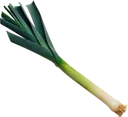 leek