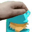 slowpet4shit