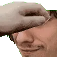 leonpet