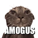 wc_amogus