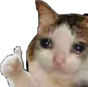 sad_cat Discord emoji