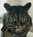 1586759114000