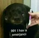 1582668411000