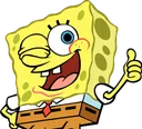 spongeNice