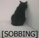 cat_sobbing cat_sobbing