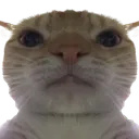 henlo