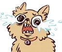 biscuit_cri