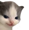 niceballsbro