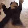 ch_dance Discord emoji