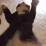 ch_dance