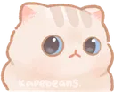 CC_stare
