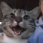 za_bbhappycat za_bbhappycat