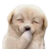 hehe Discord emoji
