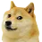 doge doge