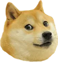 doge Discord Emoji