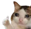 Cry Thumbsup CryThumbsup Discord Emoji