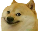 doge_happy Discord Emoji