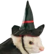FerretWitch