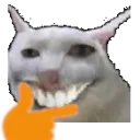 weshthink