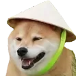 th_SunilDoge