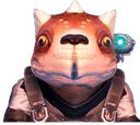 Codegek Codegek