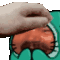 kek_pat
