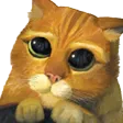 pls