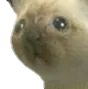 mh_pt