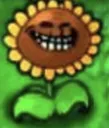 suntroll suntroll