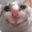 sweetcat