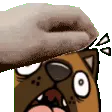 SkaifoPet