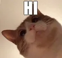 hi