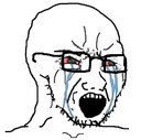 crying_wojak Discord emoji