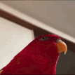 parrotlaugh Discord Emoji