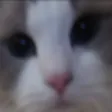 AREYOUPOKI