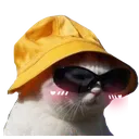 summerkitty