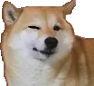 DogeWink DogeWink